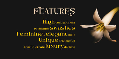 Neglia Font Poster 8