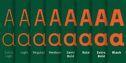 Mapion Sans Font Poster 2