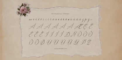 Claris Fleur Font Poster 11
