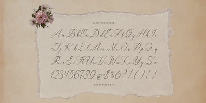 Claris Fleur Font Poster 10