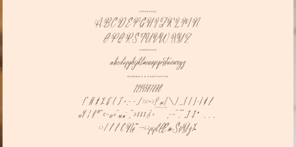Rustic Astera Font Poster 7