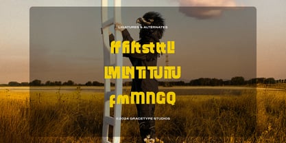 Stalfolk Font Poster 12