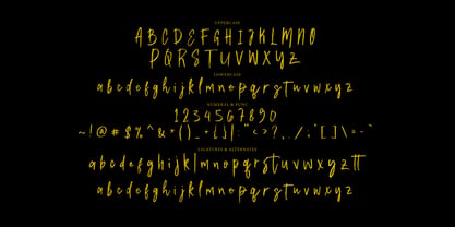 Night Shades Brush Font Poster 7