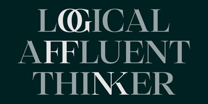 Selestin Font Poster 7