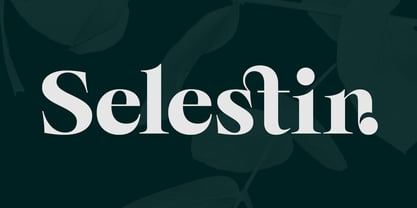 Selestin Font Poster 1