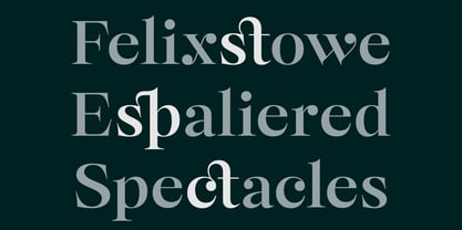 Selestin Font Poster 9