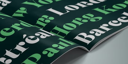 Selestin Font Poster 12