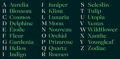Selestin Font Poster 15