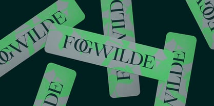 Selestin Font Poster 3