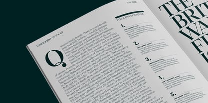 Selestin Font Poster 6