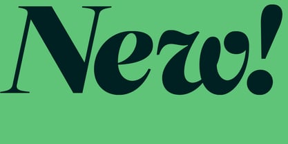 Selestin Font Poster 14