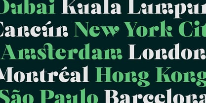 Selestin Font Poster 13
