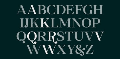 Selestin Font Poster 4