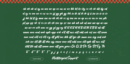 Runing Squad Font Poster 15