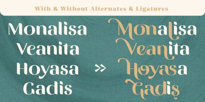 Vittasoa Font Poster 9