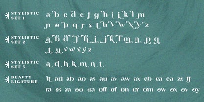 Vittasoa Font Poster 14