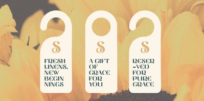 Vittasoa Font Poster 6