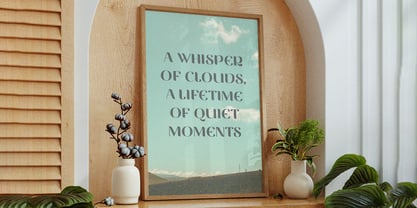 Vittasoa Font Poster 5