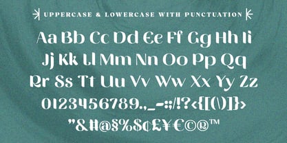 Vittasoa Font Poster 13