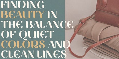 Vittasoa Font Poster 3