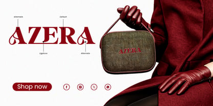 Lecaria Font Poster 5