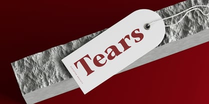 Lecaria Font Poster 8