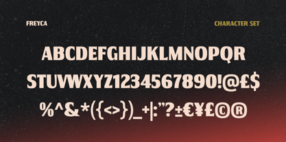 Freyca Font Poster 3