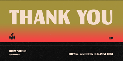 Freyca Font Poster 9
