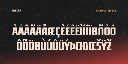 Freyca Font Poster 4