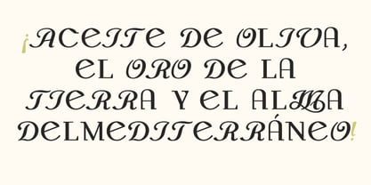 Monch Neue Rebellion Font Poster 3