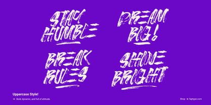 Stroked Brush Font Poster 3