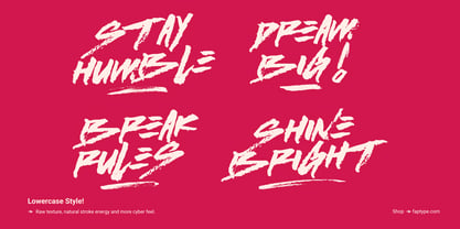 Stroked Brush Font Poster 10