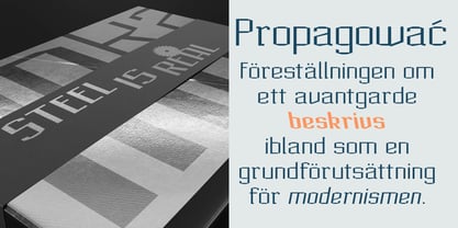 Acel Gothic Font Poster 8