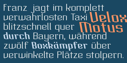 Acel Gothic Font Poster 9