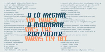 Acel Gothic Font Poster 4