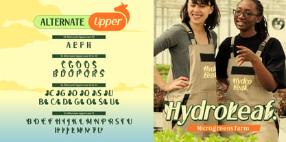 Farmilo Font Poster 6