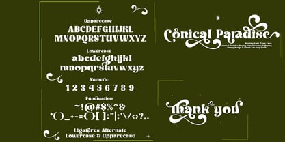 Conical Paradise Font Poster 3