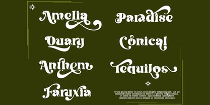 Conical Paradise Font Poster 4