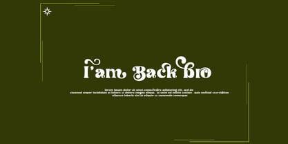 Conical Paradise Font Poster 6