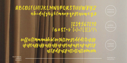 Thunder Bloom Font Poster 4