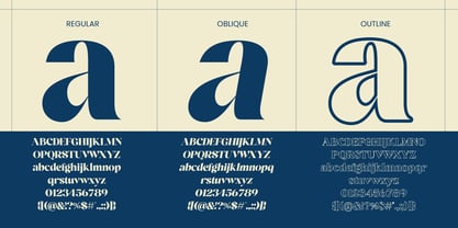 Agesta Serif Font Poster 7