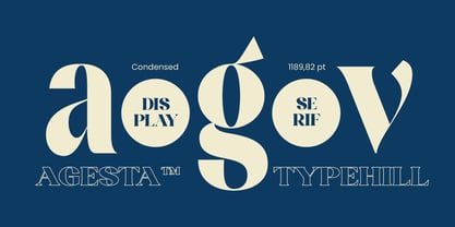 Agesta Serif Font Poster 4