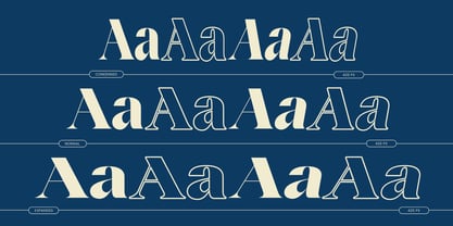 Agesta Serif Font Poster 2