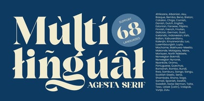 Agesta Serif Font Poster 12