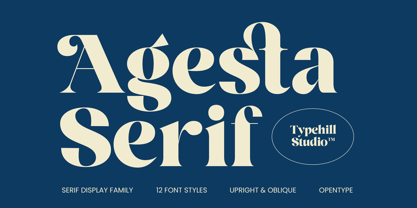 Agesta Serif Font Poster 1