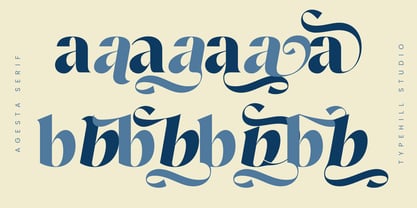 Agesta Serif Font Poster 6