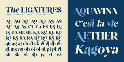 Agesta Serif Font Poster 11