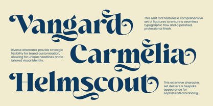 Agesta Serif Font Poster 5