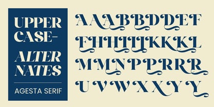 Agesta Serif Font Poster 9