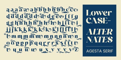 Agesta Serif Font Poster 10